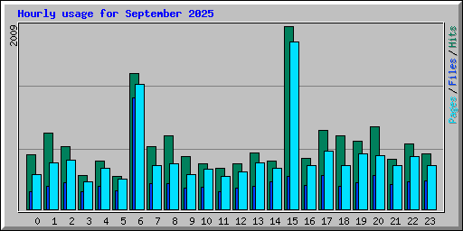 Hourly usage for September 2025
